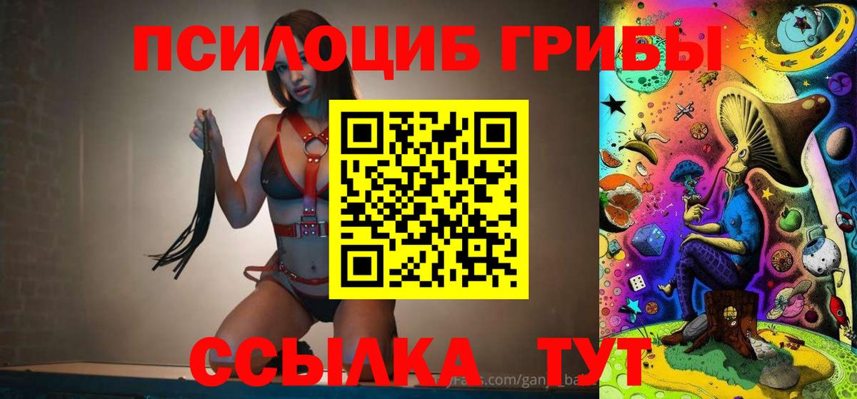 Галлюциногенные грибы Psilocybine cubensis  Вход с VPN  Нижнеудинск 
