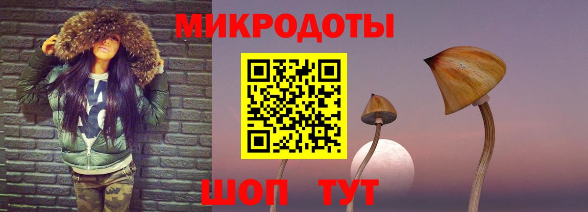 Псилоцибиновые грибы Psilocybine cubensis Нижнеудинск