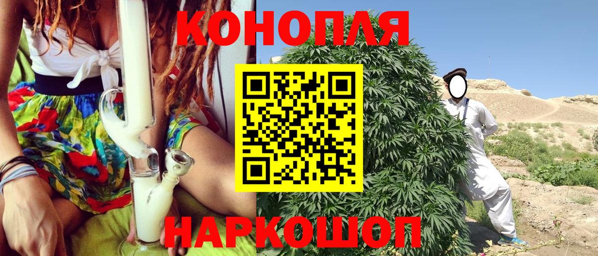 Марихуана конопля Нижнеудинск